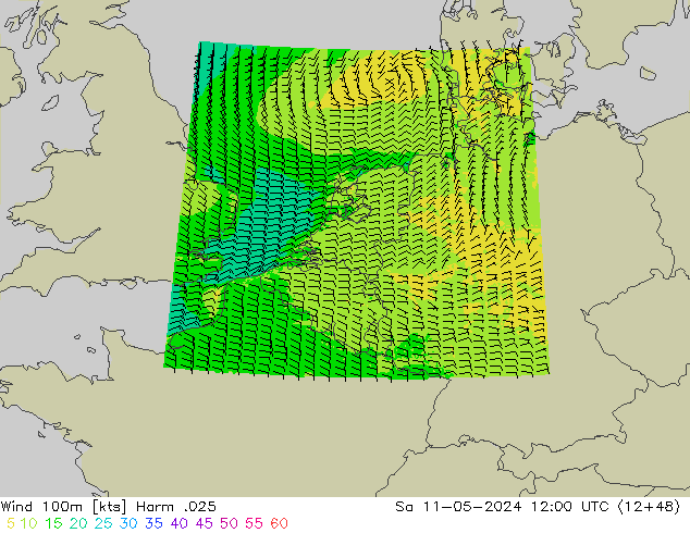 Wind 100m Harm .025 Sa 11.05.2024 12 UTC