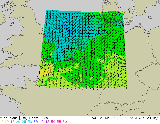 Wind 50m Harm .025 So 12.05.2024 12 UTC