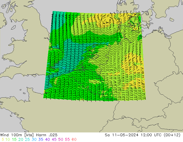 Wind 100m Harm .025 Sa 11.05.2024 12 UTC