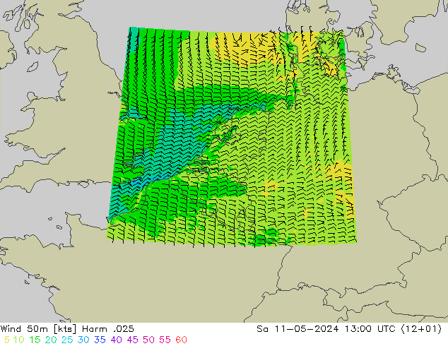 Wind 50m Harm .025 So 11.05.2024 13 UTC