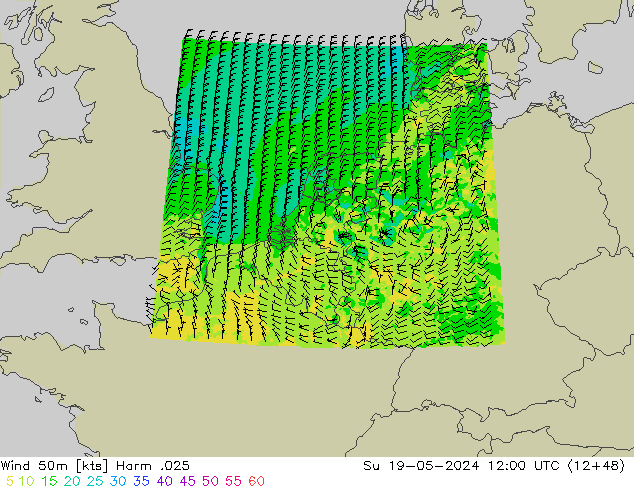 Wind 50m Harm .025 Su 19.05.2024 12 UTC