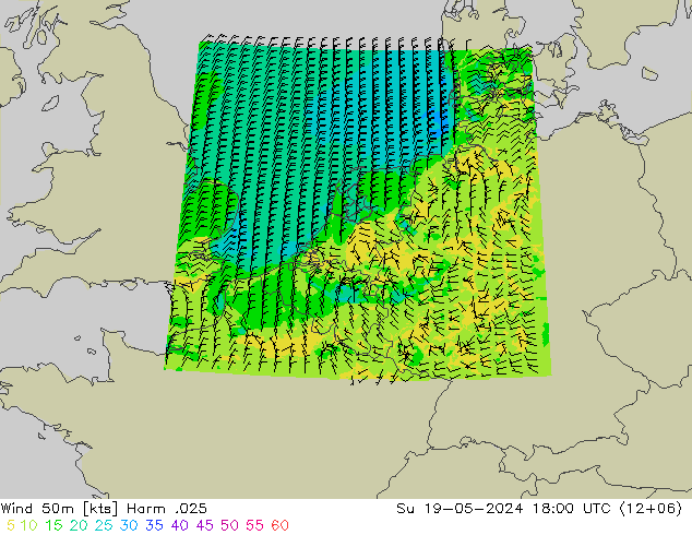 Wind 50 m Harm .025 zo 19.05.2024 18 UTC
