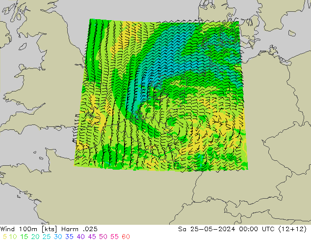 Wind 100m Harm .025 Sa 25.05.2024 00 UTC