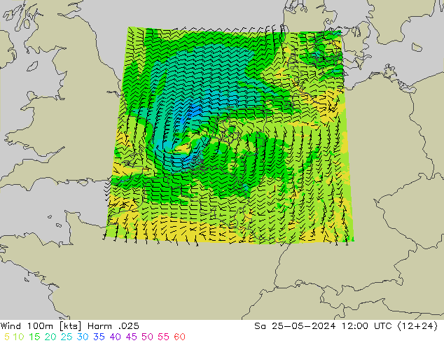 ветер 900 гПа Harm .025 сб 25.05.2024 12 UTC