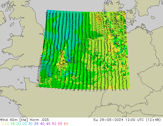 Wind 50m Harm .025 So 26.05.2024 12 UTC