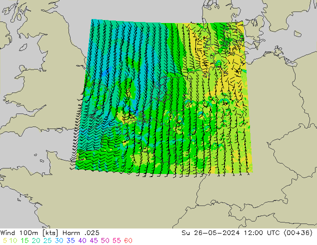 Wind 100m Harm .025 Su 26.05.2024 12 UTC