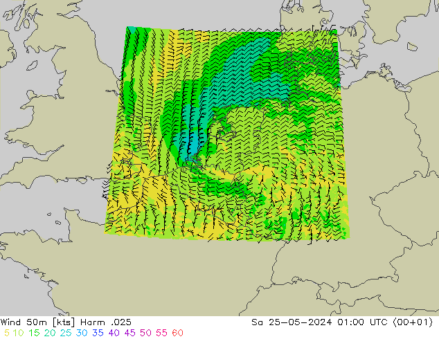 Viento 50 m Harm .025 sáb 25.05.2024 01 UTC