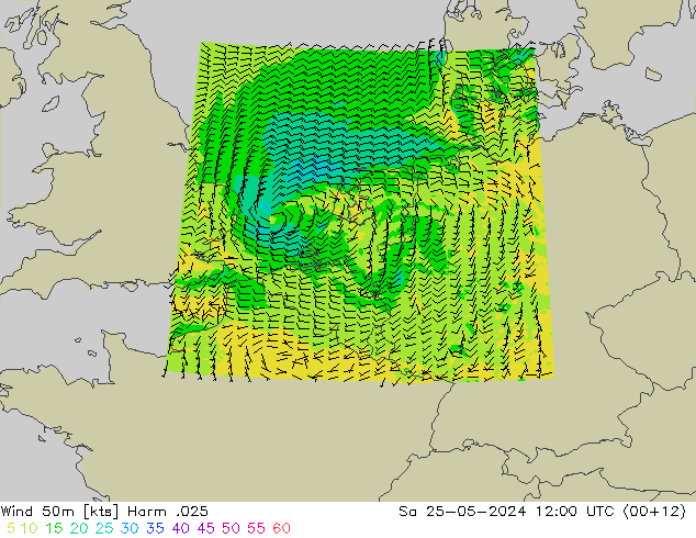 Wind 50m Harm .025 Sa 25.05.2024 12 UTC