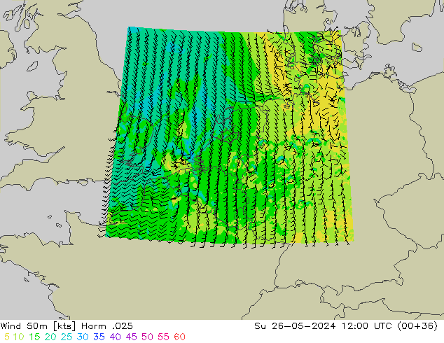 Vento 50 m Harm .025 Dom 26.05.2024 12 UTC