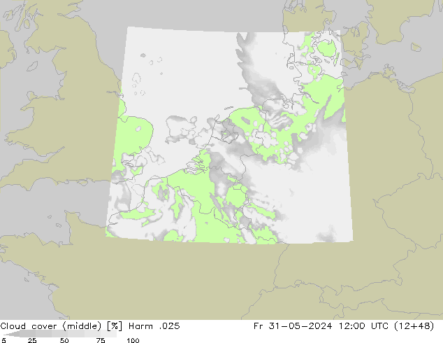 Cloud cover (middle) Harm .025 Fr 31.05.2024 12 UTC