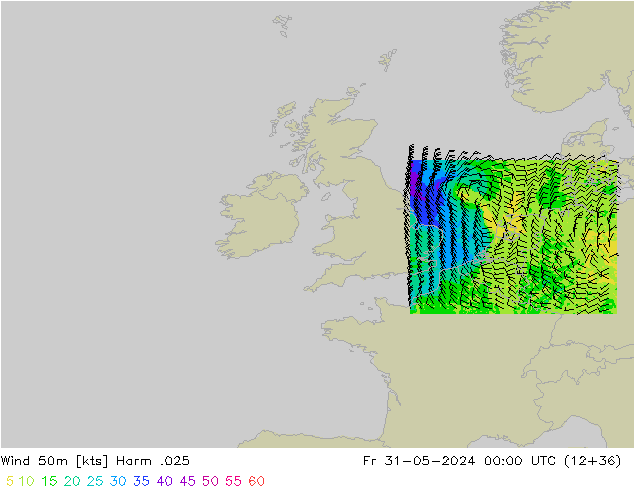 Wind 50m Harm .025 Fr 31.05.2024 00 UTC