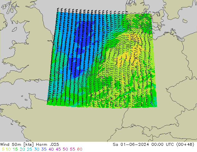 Wind 50m Harm .025 Sa 01.06.2024 00 UTC