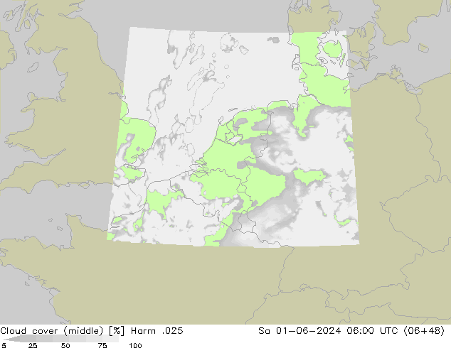 Cloud cover (middle) Harm .025 Sa 01.06.2024 06 UTC
