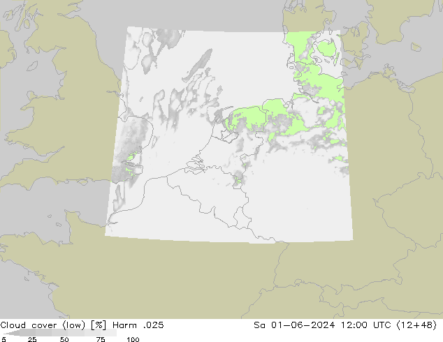 Cloud cover (low) Harm .025 Sa 01.06.2024 12 UTC