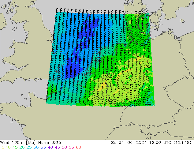 Wind 100m Harm .025 Sa 01.06.2024 12 UTC