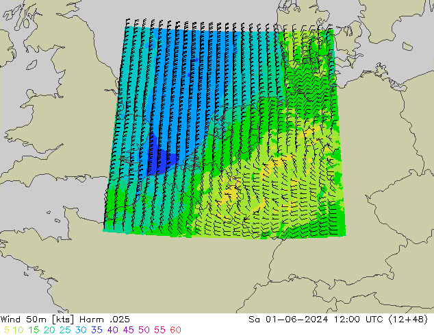 Wind 50m Harm .025 So 01.06.2024 12 UTC