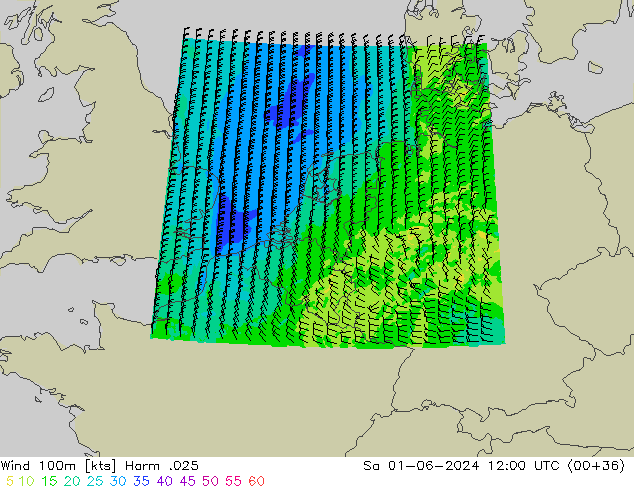 Vento 100m Harm .025 sab 01.06.2024 12 UTC