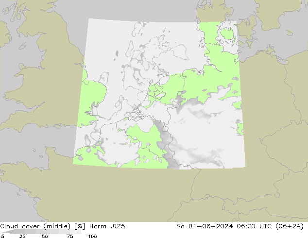 Cloud cover (middle) Harm .025 Sa 01.06.2024 06 UTC