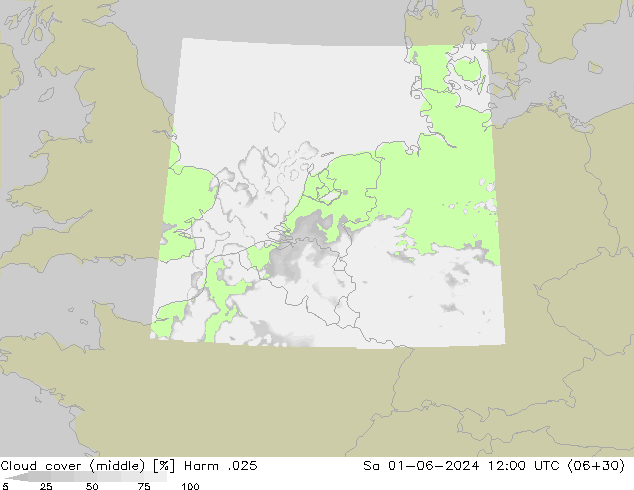 Cloud cover (middle) Harm .025 Sa 01.06.2024 12 UTC