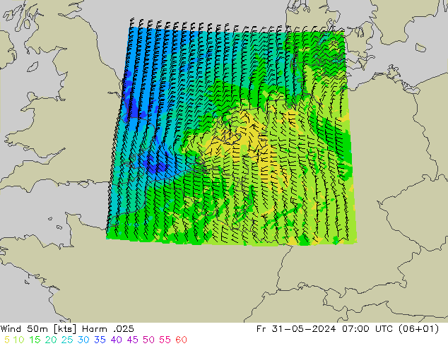  50 m Harm .025  31.05.2024 07 UTC