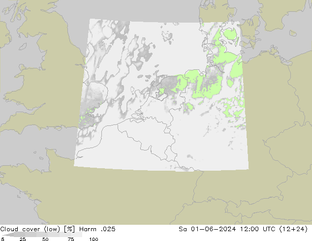 Cloud cover (low) Harm .025 Sa 01.06.2024 12 UTC