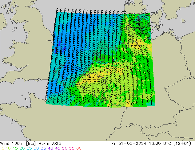 Wind 100m Harm .025 Fr 31.05.2024 13 UTC