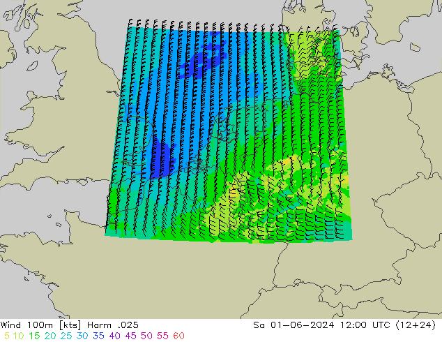 Wind 100m Harm .025 So 01.06.2024 12 UTC