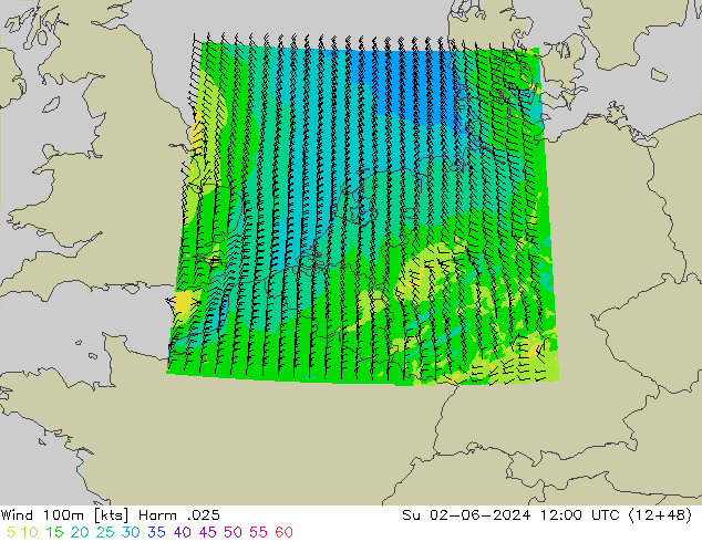 Wind 100m Harm .025 So 02.06.2024 12 UTC