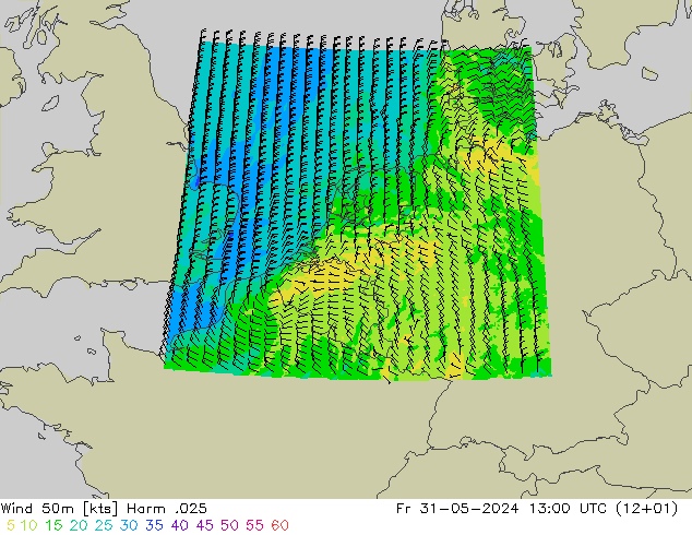 风 50 米 Harm .025 星期五 31.05.2024 13 UTC