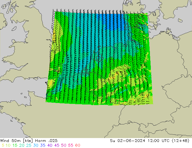 Vento 50 m Harm .025 dom 02.06.2024 12 UTC