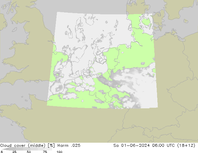 Cloud cover (middle) Harm .025 Sa 01.06.2024 06 UTC