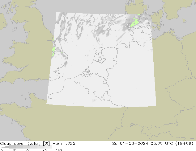 Cloud cover (total) Harm .025 Sa 01.06.2024 03 UTC