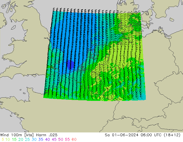 Wind 100m Harm .025 Sa 01.06.2024 06 UTC