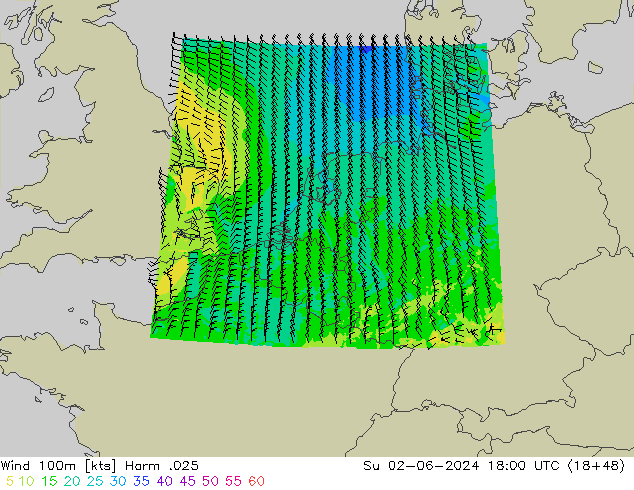 Rüzgar 100m Harm .025 Paz 02.06.2024 18 UTC