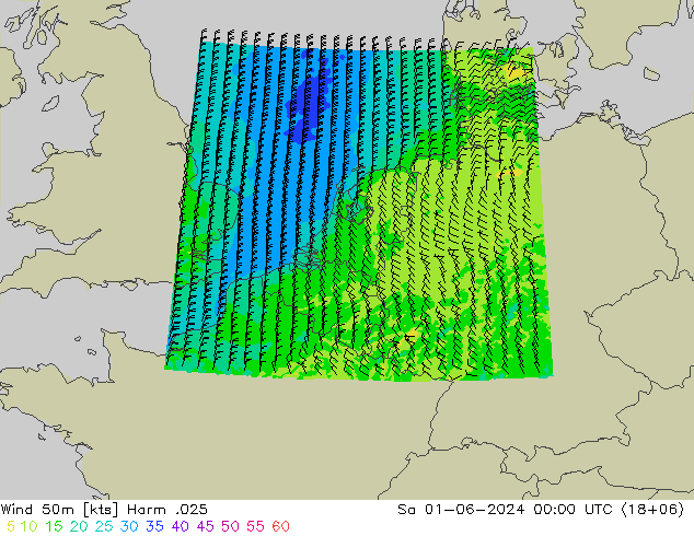Wind 50m Harm .025 Sa 01.06.2024 00 UTC