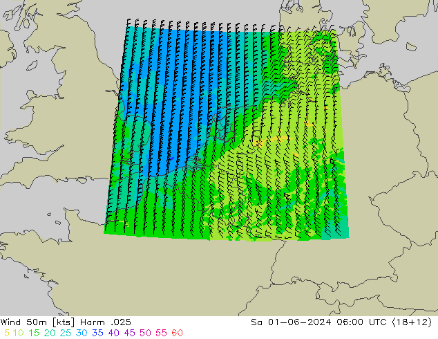 Wind 50m Harm .025 Sa 01.06.2024 06 UTC