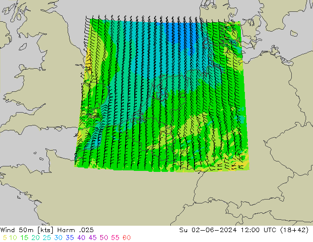 Wind 50m Harm .025 Ne 02.06.2024 12 UTC