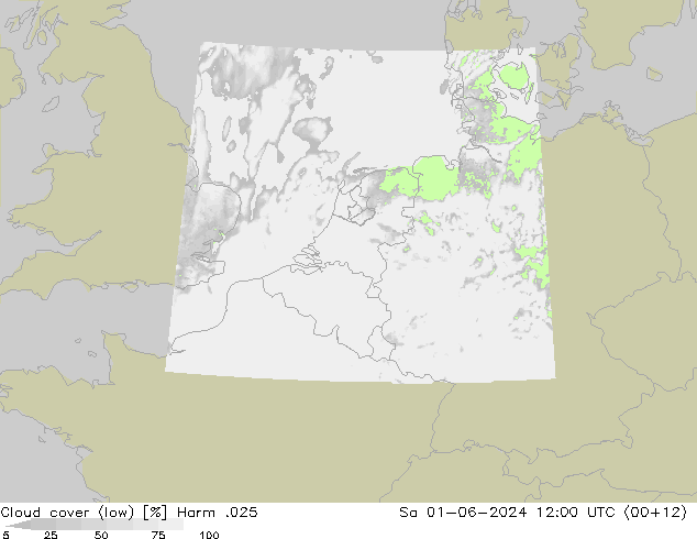 Cloud cover (low) Harm .025 Sa 01.06.2024 12 UTC
