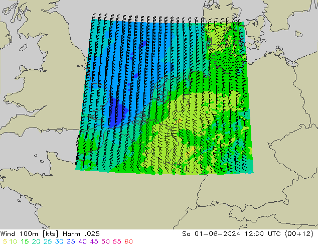 Wind 100m Harm .025 za 01.06.2024 12 UTC