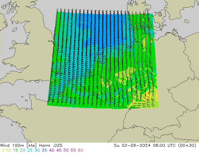Wind 100m Harm .025 Su 02.06.2024 06 UTC
