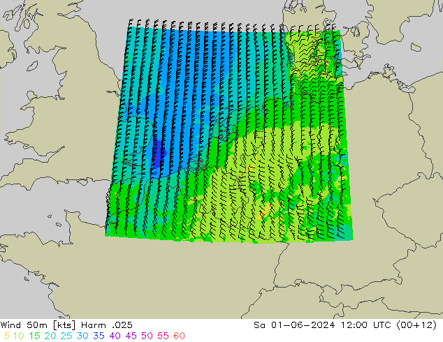 Wind 50m Harm .025 Sa 01.06.2024 12 UTC