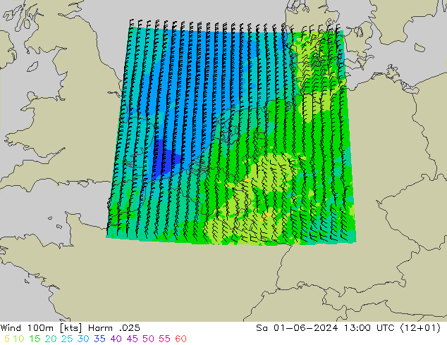 Wind 100m Harm .025 Sa 01.06.2024 13 UTC