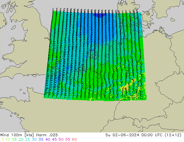 Wind 100m Harm .025 So 02.06.2024 00 UTC