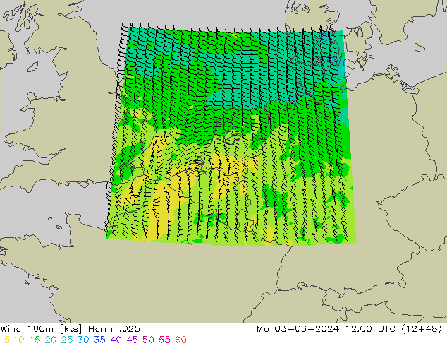 ветер 900 гПа Harm .025 пн 03.06.2024 12 UTC