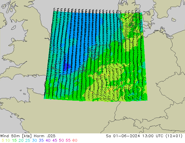 Wind 50m Harm .025 Sa 01.06.2024 13 UTC