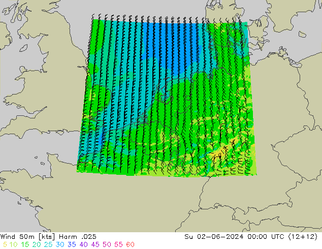 Wind 50 m Harm .025 zo 02.06.2024 00 UTC