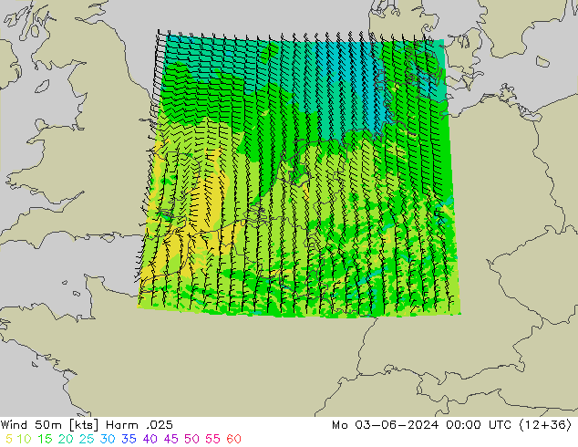 Wind 50m Harm .025 Mo 03.06.2024 00 UTC