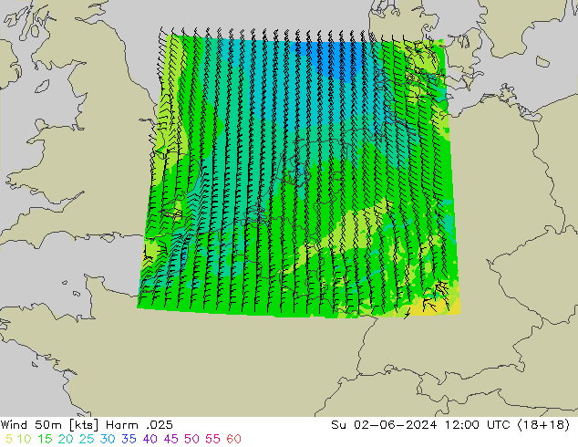 Viento 50 m Harm .025 dom 02.06.2024 12 UTC