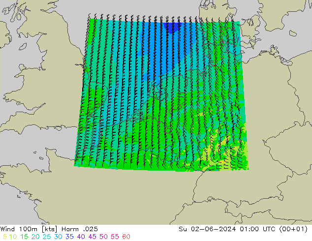 Wind 100m Harm .025 zo 02.06.2024 01 UTC