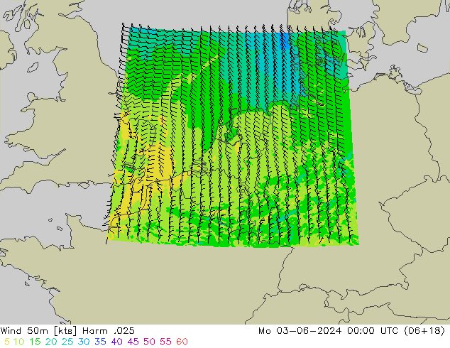 Wind 50m Harm .025 Mo 03.06.2024 00 UTC